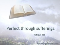 Hebrews 2:10